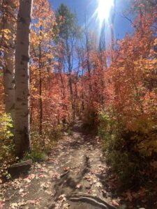 Wasatch Wellness Mafia nature walks