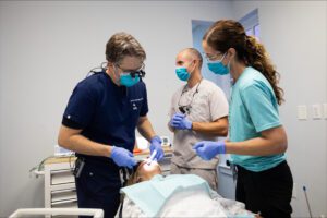 West Madison Dental dental work