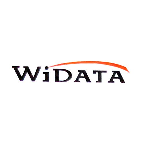WiData Logo Before Splashpaint Creative