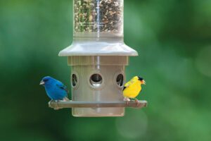 Wild Birds Unlimited