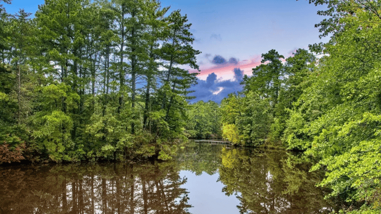 A Lasting Commitment to Wildlife
