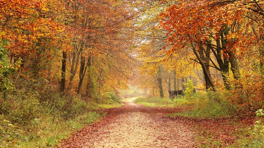 The Quiet Relief of the Ordinary