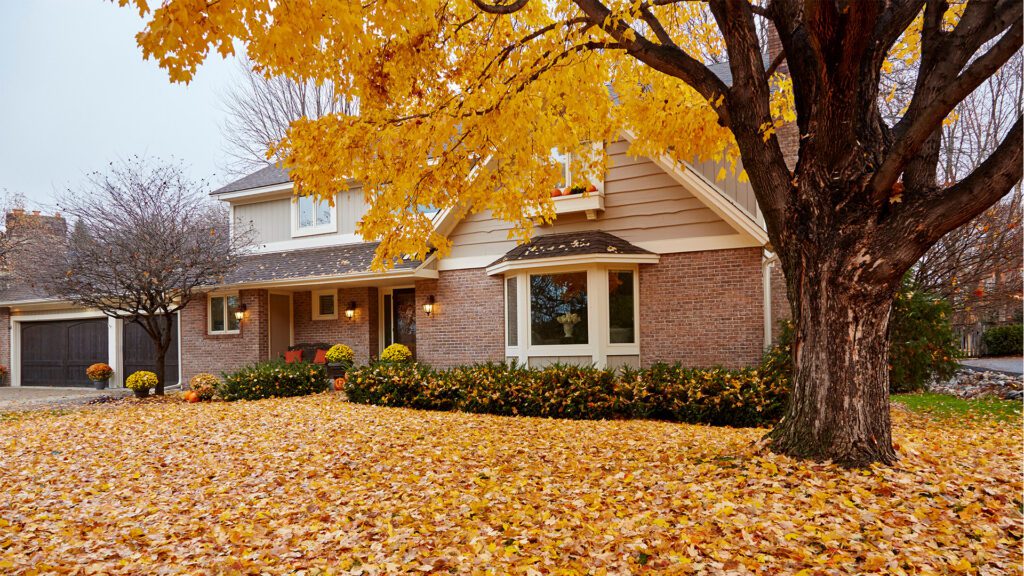 Chanhassen Real Estate: A Look at the Market This Fall