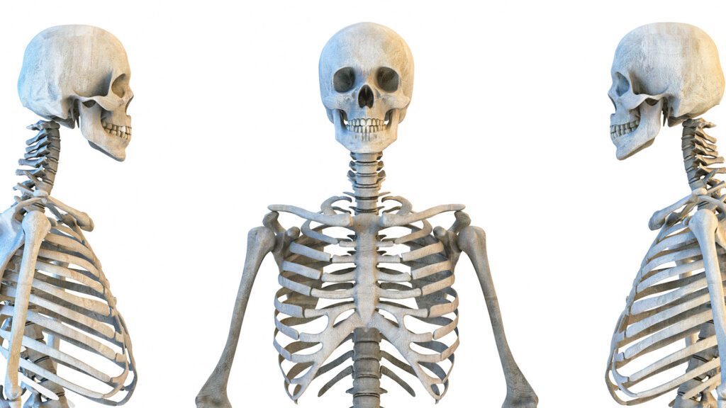 Strong Bones Are About More Than Calcium