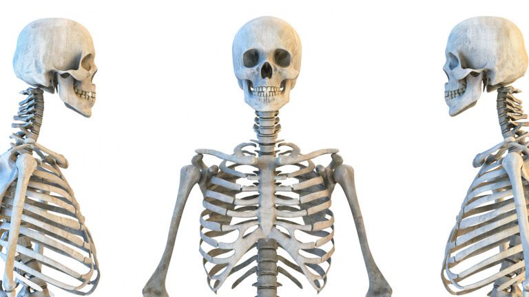 Strong Bones Are About More Than Calcium