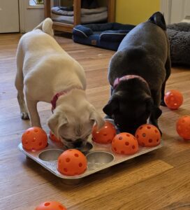 Mary Puppins LLC dogs playing