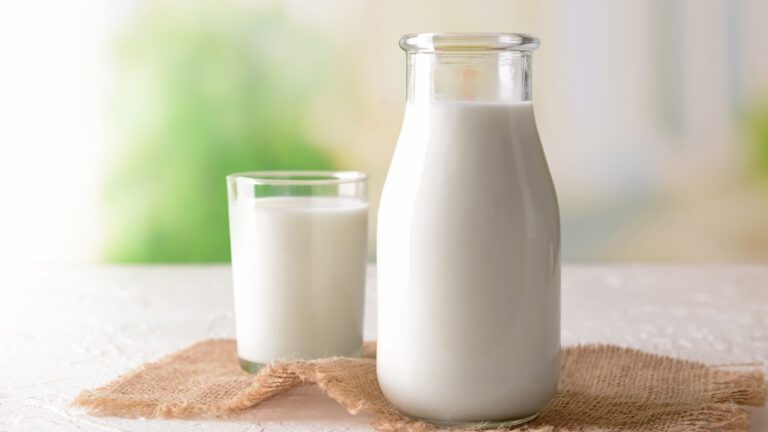 What’s in the Jug? Milk Made Simple