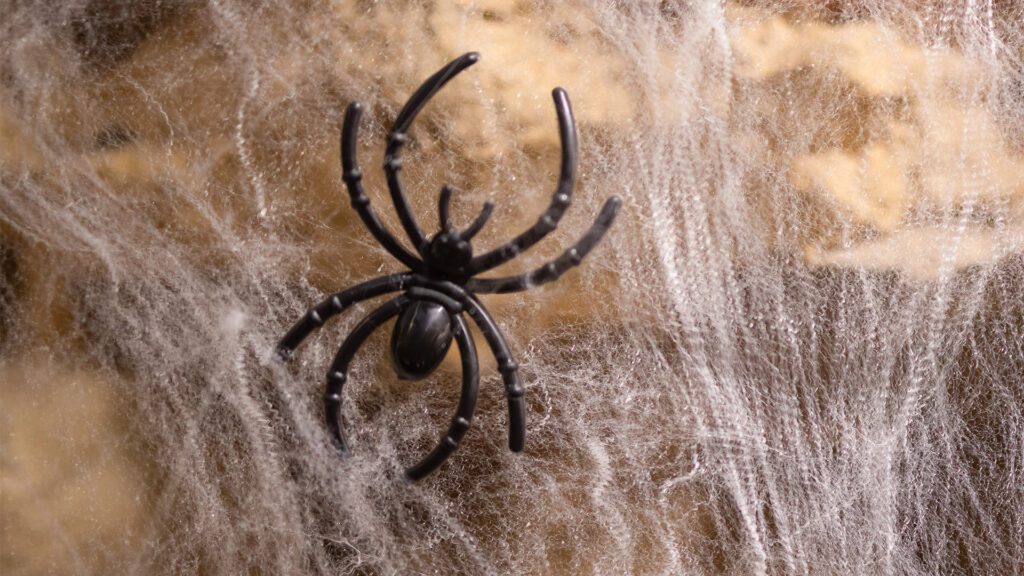 Spider-Man Season: When Spiders Take to the Sky