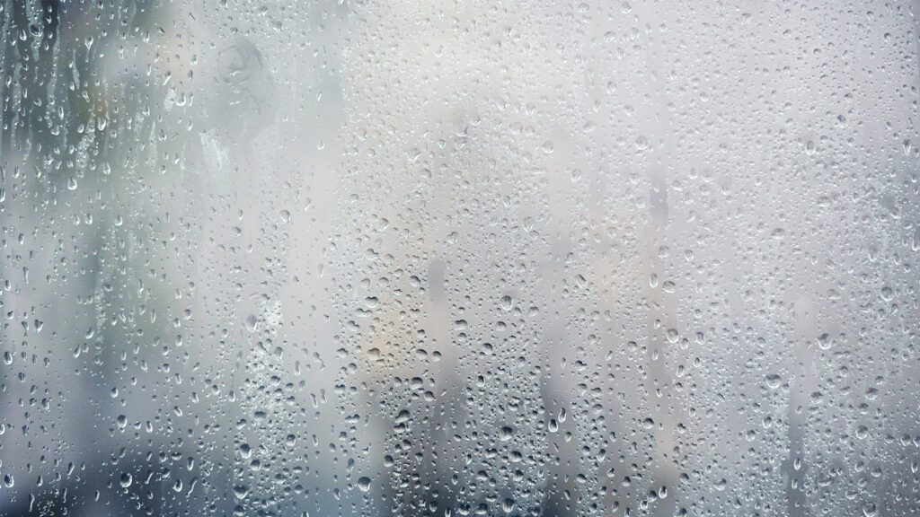 Fall Is in the Air: Why Are My Windows Sweating?