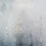Fall Is in the Air: Why Are My Windows Sweating?