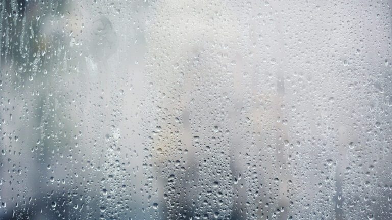 Fall Is in the Air: Why Are My Windows Sweating?