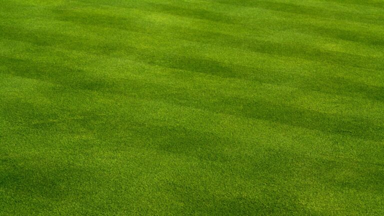 Why Fall Aeration, Seeding, and Fertility Matter
